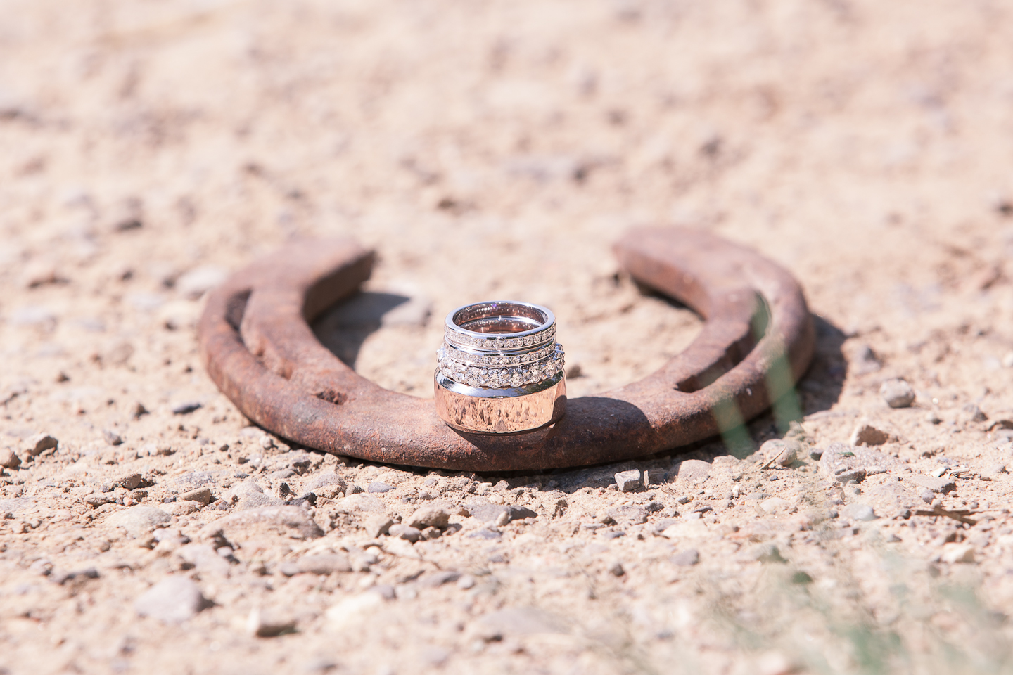 Cambium farms barn wedding horse shoe ring shot