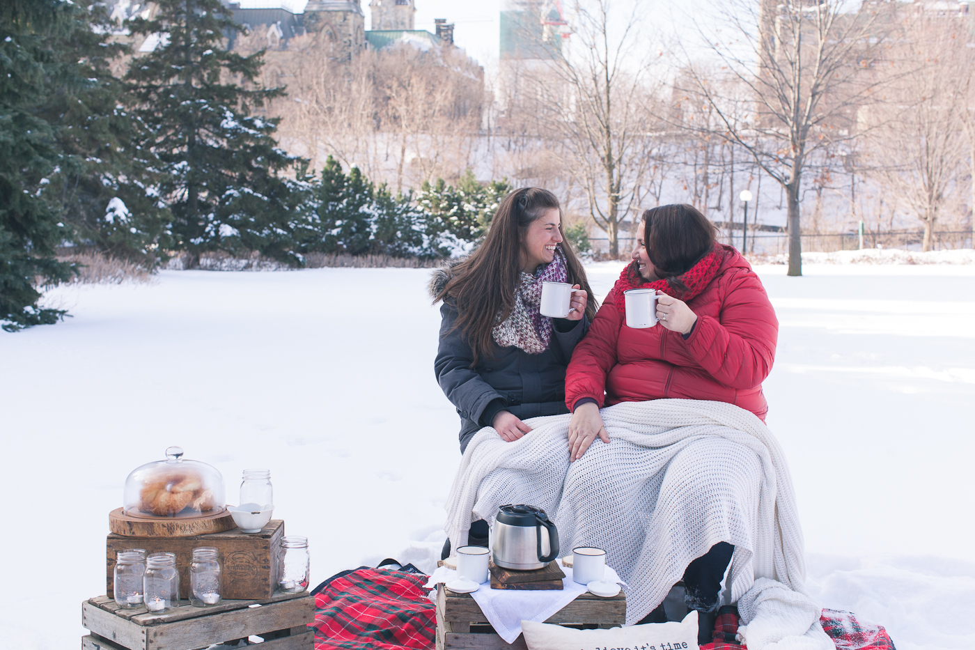 LGBT.proposal.engagement.picnic.winter.ottawa-11
