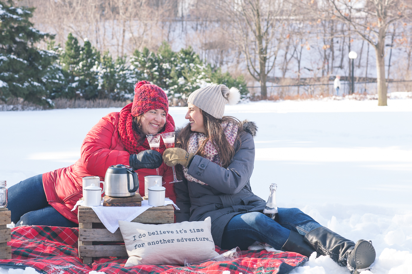 LGBT.proposal.engagement.picnic.winter.ottawa-31