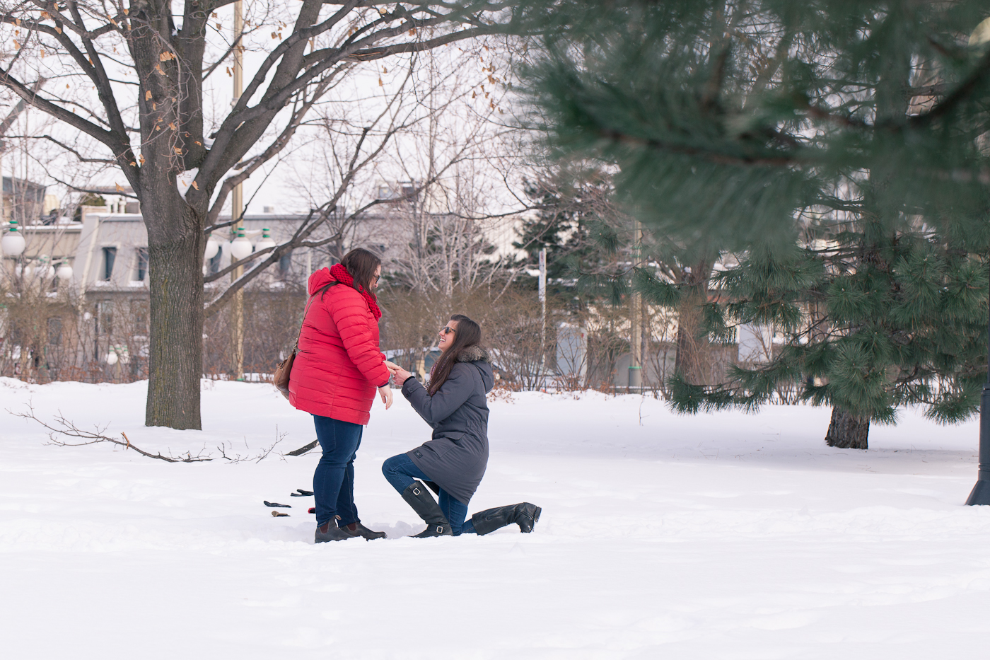 LGBT.proposal.engagement.picnic.winter.ottawa-6