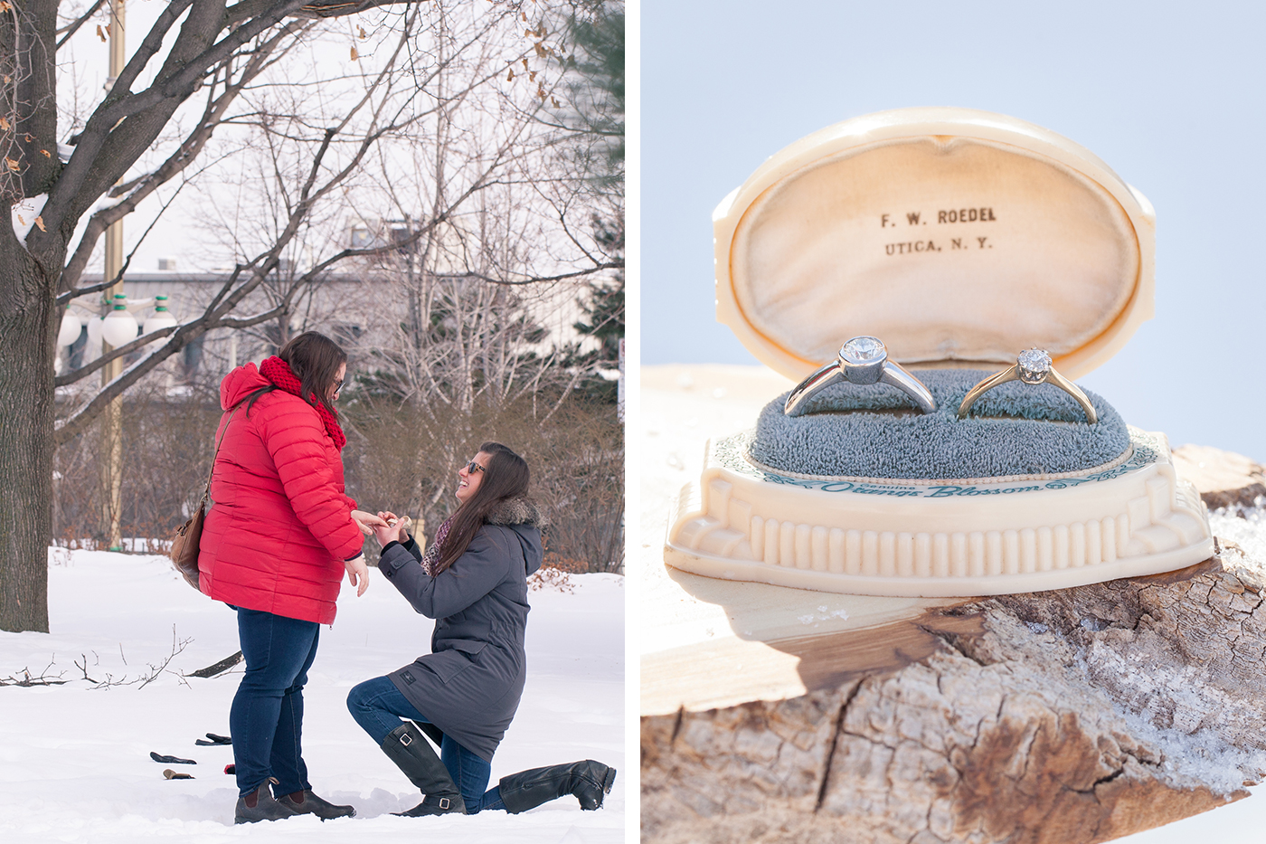 LGBT.proposal.engagement.picnic.winter.ottawa.2